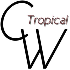 Sunkissed Style: Unveiling Our Tropical Paradise – New Arrivals at Casual Tropical Wear
